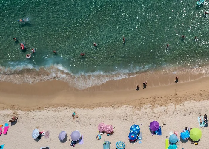 Апартаменты Blue Horizon Chalkidiki Сарти